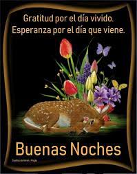 Pensamientos Y Bendiciones De Buenas Noches Imagenes Gratis Frases Lindas De Buenas Noches Rosas De Buenas Noches Buenas Noches Dulces Suenos