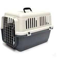 Our pets play an integral role in bringing joy and cheerfulness to our house. 17 Pet Relocation Services In India Ideas Pet Relocation Pet Transport Relocation Services