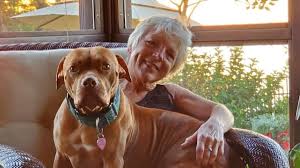 We weren't the only ones overcome with pet adoption fever, though. Help For Senior Citizens Who Want A Pet During The Pandemic Cnn