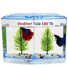 Great for shrimp, crayfish, dwarf frogs, killifish, micro tetras, microrasboras, and more! Betta House Double Betta Fish Aquarium Buy Online At Best Prices In Bangladesh Daraz Com Bd