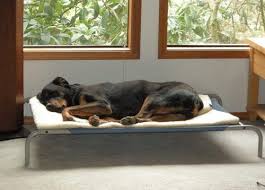 Magic dog super soft extra large dog bed orthopedic pet beds 47 inch jumbo washable anti slip dog sleeping mattress with removable cover, light grey xl 4.8 out of 5 stars 387 $55.99 $ 55. Amazon Com Coolaroo Large Steel Framed Pet Bed Brunswick Green Pet Supplies Rectangular Dog Bed Coolaroo Dog Bed Raised Dog Beds