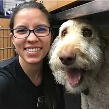 Veterinarian in Campbell, CA
