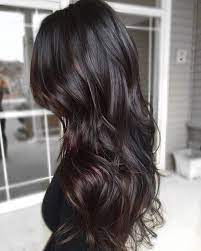 Chestnut Highlights For Black Hair Black Hair Balayage Hair Styles Brown Ombre Hair