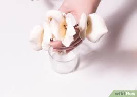 To treat fruit or other plant parts so as to prevent decay. How To Preserve Cut Flowers Longer With Glycerin 8 Steps