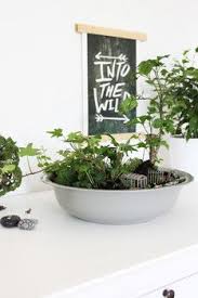 Into The Wild Geht S Beim Basteln Von Mini Garten In Der Schale Mit Echten Grunpflanzen Wie Man Tolle Deko Erstellt Lieb Mini Garten Miniaturgarten Gardening