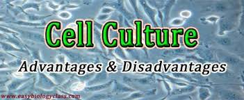We would like to show you a description here but the site won't allow us. Animal Cell Culture Advantages And Limitations Animal Cell Biology Class Lectures Notes