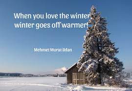 America will never truly be the home of the brave, until they pluck up the courage to lower their toilet water level. 30 Winter Quotes With Warm Sentiments Holidappy
