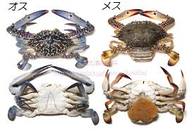 FoodsLink.jp フーズリンク