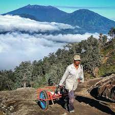 We did not find results for: Capek Mendaki Kawah Ijen Kini Ada Ojek Troli Yang Siap Mengangkut Wisatawan