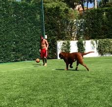 1.280 anzeigen von luxusimmobilien zum verkauf in miami beach: Outside And Inside Of Leo Messi S Superhouse In Barcelona