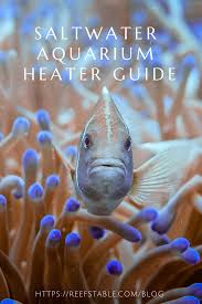 Saltwater Aquarium Heater Guide In 2020 Saltwater Aquarium Saltwater Fish Tanks Saltwater Aquarium Fish