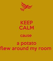 A potato flying around your room. Keep Calm A Potato Flew Around My Room Know Your Meme