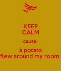 Did potato flew around before you came excuse the? Keep Calm A Potato Flew Around My Room Know Your Meme