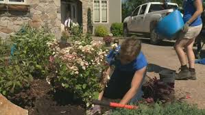We did not find results for: Calgary S Changing Climate Prompts New Designation For Plant Growth Ctv News
