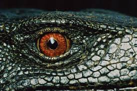 Pin On Soggy Science