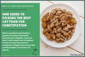 Shop online today and see the fantastic range we offer. 10 Best Cat Foods Wet And Dry For Constipation In 2021