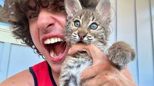 Why I Ate this Baby Bobcat (Apology Video)