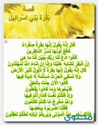 آيات الحيوانات في القرآن الكريم موقع محتوى