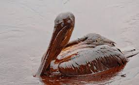 If the dawn soap is so good at cleaning oil, why not show real footage of ducks getting saved from an actual oil spill? Why We Pretend To Clean Up Oil Spills Science Smithsonian Magazine