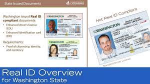 We did not find results for: Washington Car Insurance Rates Proven Guide