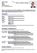 Il vous est possible de télécharger rapidement. Cv Type En Format Word Simple