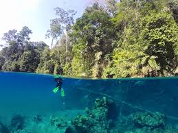 Dirinya mengapresiasi ramainya wisatawan yang berkunjung ke danau dua rasa tersebut. Danau Labuan Cermin Kaniungan Biduk Biduk Home Facebook