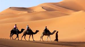 The camel caravans which crossed the great dunes of the sahara desert began in antiquity but reached their golden period from the 9th century ce onwards. Sahara Dessert Paisaje De Desierto Desierto Sahara Camello