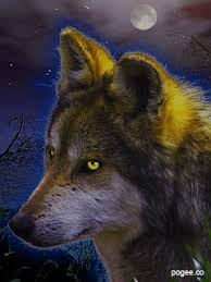 65 animated wolf wallpapers images in full hd, 2k and 4k sizes. Halloween Wolf Wallpaper Posted By Zoey Simpson