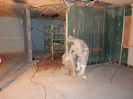 Image result for Asbestos Abatement
