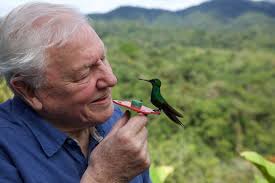 Sir David Attenborough