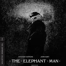Where megan fox, the mennonite millennial mom sells her brand, fox sparrow. Stream 52 Ghost Ships The Elephant Man And Megan Fox Action Hero By The Bay Street Video Podcast Listen Online For Free On Soundcloud