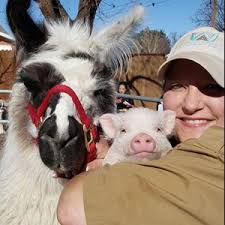 Millers zoo choo is available with the petting zoo or as a stand alone ride. Best Petting Zoos In Roscommon County Mi