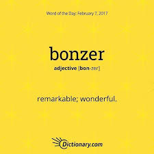 Bonzer Weird Words Dictionary Words Words