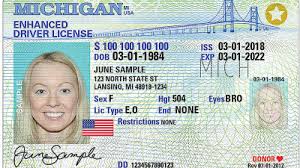 Seuss's the sneetches and allow only those with starred. Michigan Secretary Of State Prepares For Real Id Regulations In 2020