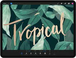 Generare □ concepire, partorire, dare la vita □ prolificare, moltiplicarsi, riprodursi. App News Der Woche Procreate 4 3 Bringt Textwerkzeug Auf Die Ipad App