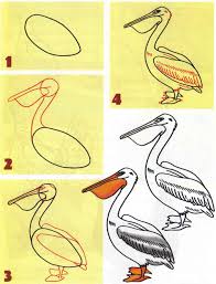 Pelikan Jpg 1914 2503 Visual Art Art Sketches Art Tutorials