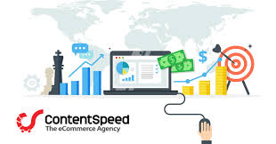 Colewebdev based on cape cod, offers a complete range of premium web design and development services for small business and web entrepreneurs. PaÈ™ii Deschiderii Unui Magazin Online