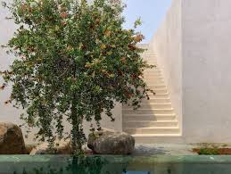 Interior Design Firm in Mumbai, India | Architecture BRIO