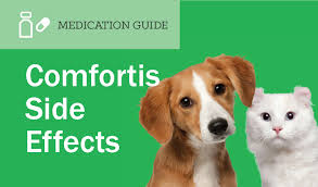 Comfortis For Dogs And Cats Side Effects Entirelypets Rx