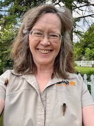 Creative Cicada Photo Shoots in Illinois