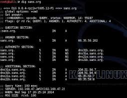 Hack Like A Pro Abusing Dns For Reconnaissance Null Byte Wonderhowto