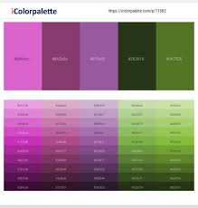 1010+ Latest Color Schemes with Cannon Pink Color tone combinations