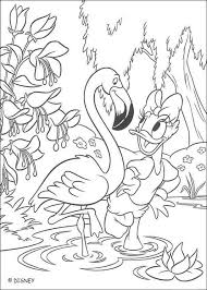 Download flamingo colouring pages free print. Daisy And Flamingo Coloring Page Free Printable Coloring Pages For Kids
