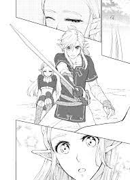 Pin by lily on Zelink/ Botw Manga | Legend of zelda, Legend of zelda  breath, Zelda art
