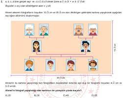 En Hizli Soy Agaci Nasil Yapilir Odev 4 Sinif