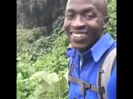 What do the colors mean