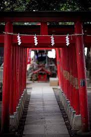 Torii Gates Shinjuku Japan Travel Japan Red Japan