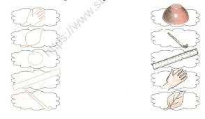 Cuemath's fun and interactive class 2 maths worksheet makes understanding and applying concepts simple. Cbse Class 2 Maths Foot Prints Worksheet Set A Practice Worksheet For Mathematics