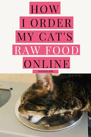 Order online and have meals delivered to your door. Raw Cat Food Brands That Deliver To You Best Of 2021 Caticles