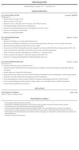 Java Developer Senior Resume Sample Mintresume